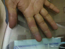 Plants: image 1 0f 5 thumb