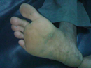 Plants: image 1 0f 5 thumb