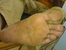 Plants: image 1 0f 5 thumb