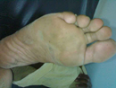 Plants: image 1 0f 5 thumb