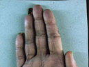 Plants: image 4 0f 5 thumb