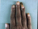 Plants: image 4 0f 5 thumb