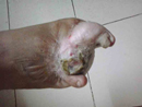 Plants: image 1 0f 5 thumb